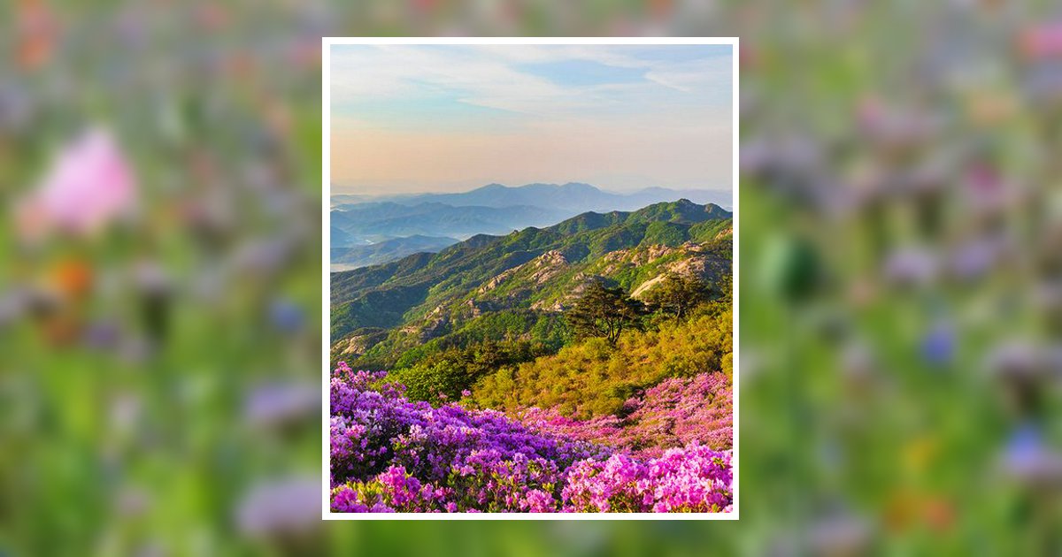 Joanne Wickwire Obituary, Sundance, WY