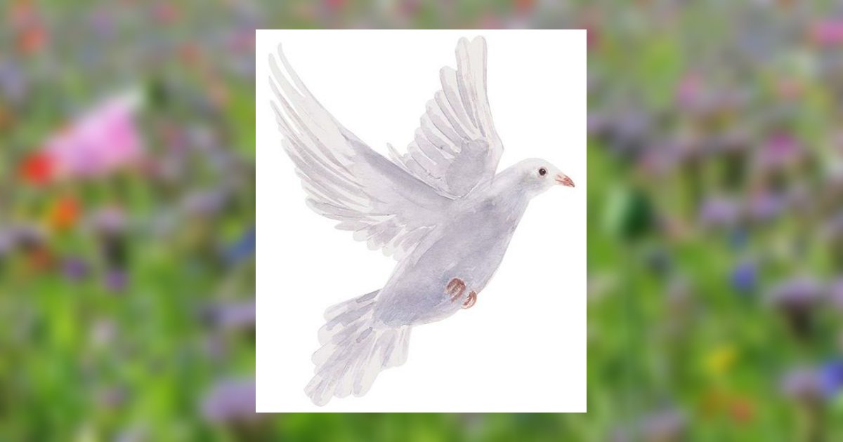 Portrait of Harlow J. Bailey