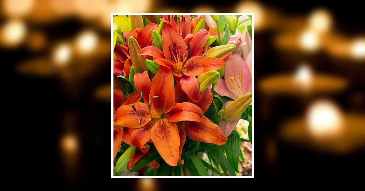 Dena Sue Felker Obituary, Hawthorne, CA