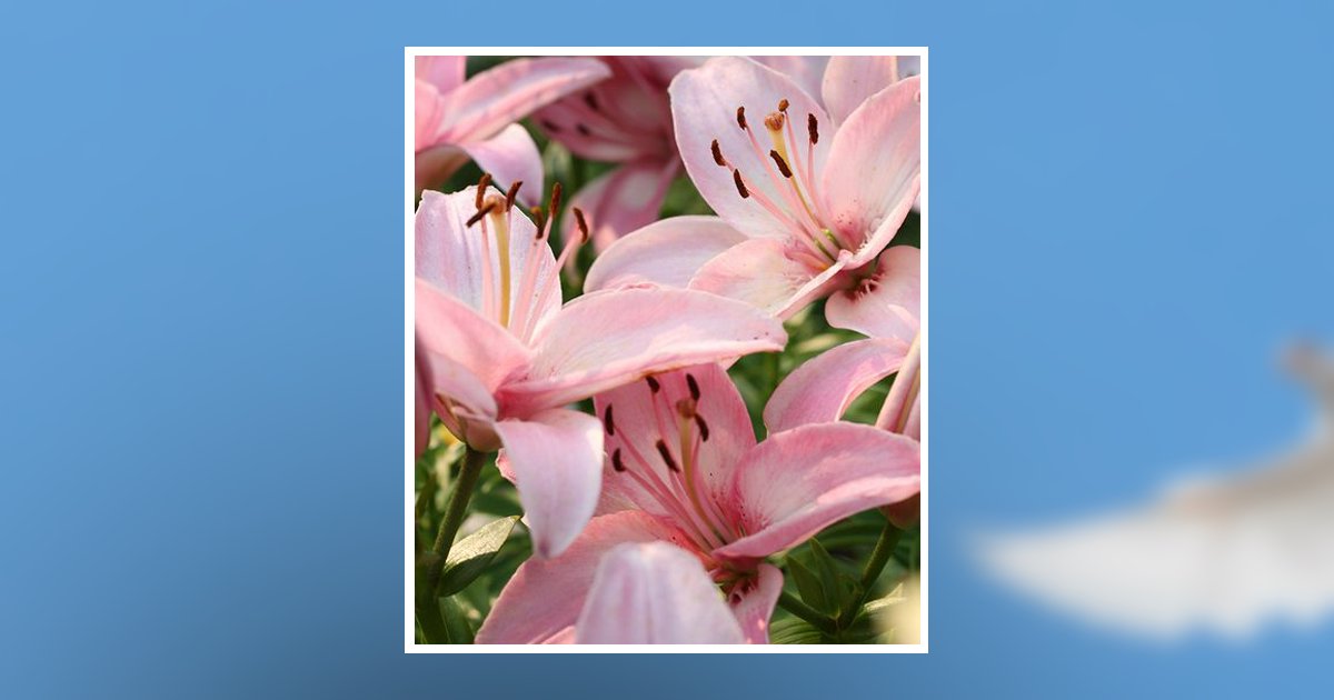 Sally Barnett Almand Henderson, NC Obituary