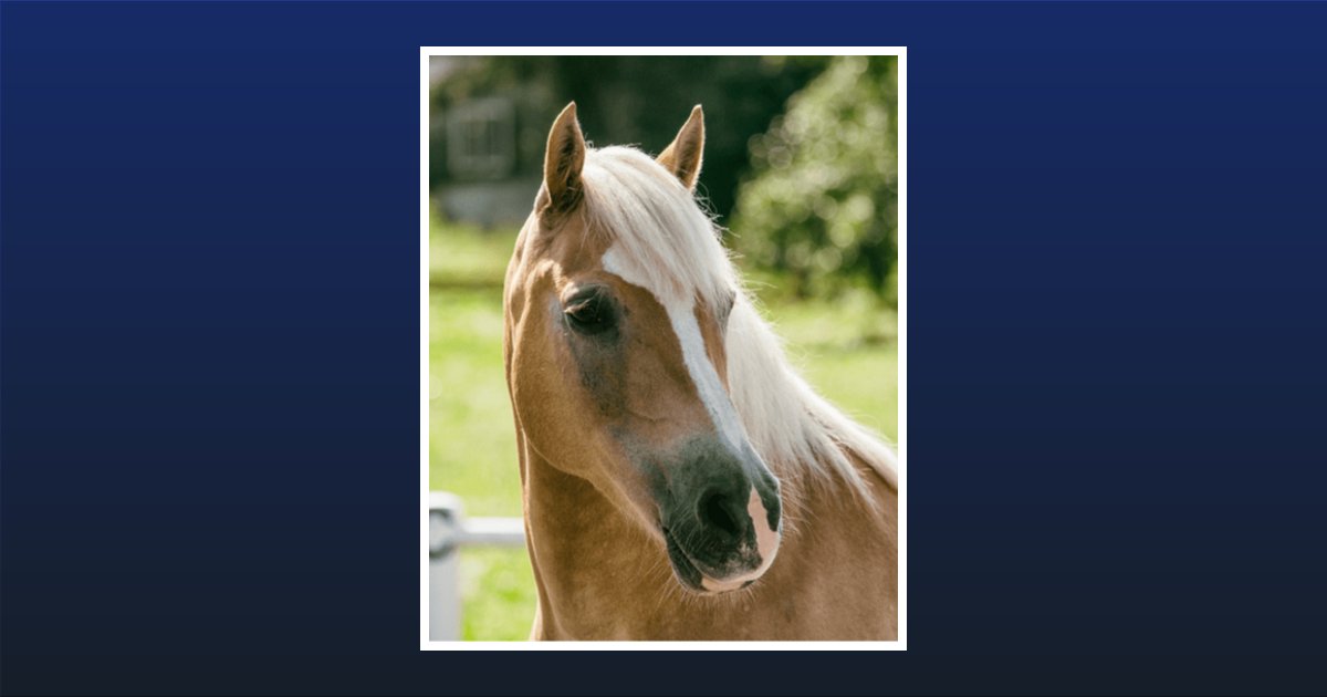 Alberta J. Bender Obituary, Carlisle, PA