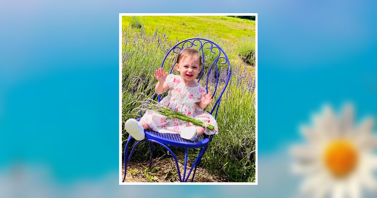 Shiloh Noelle Durrance Obituary 2024 Ridgeway Funeral Home