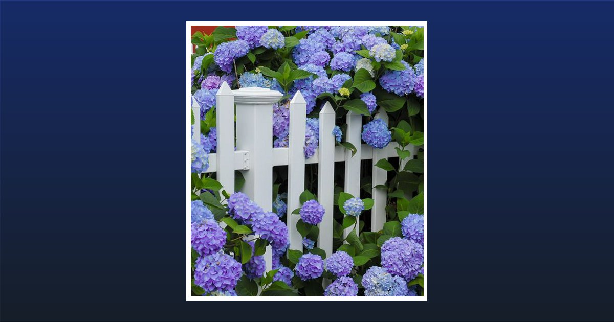 Delores "Dee" Nipper Obituary, Twin Falls, ID