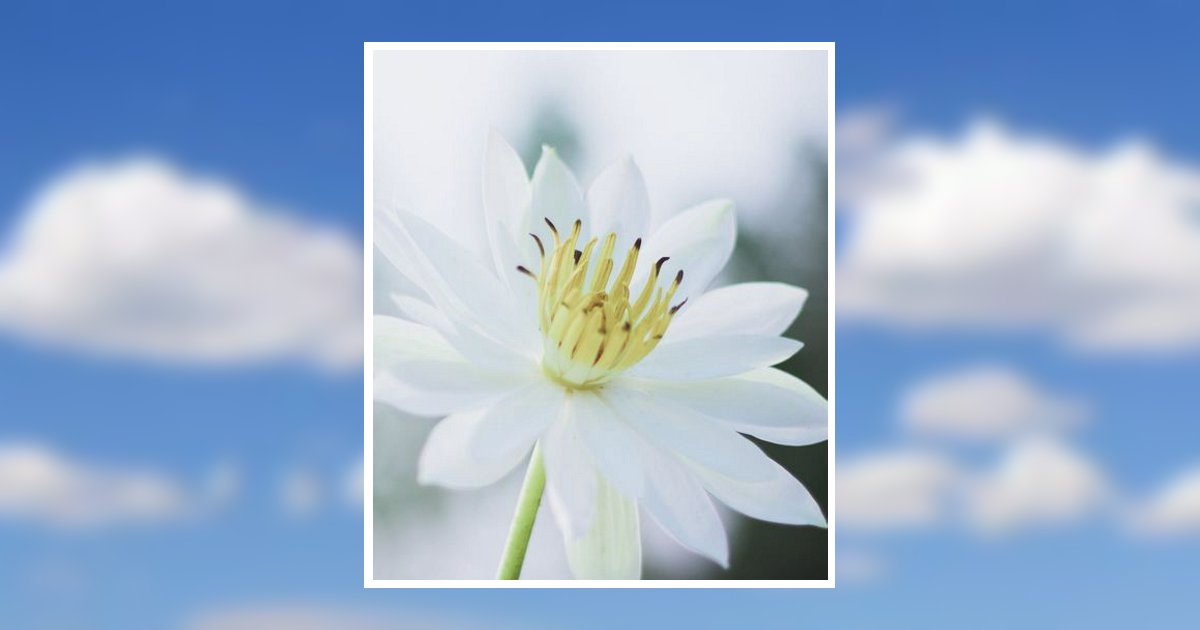 Sherry Lynn Deal Obituary, Waxahachie, TX
