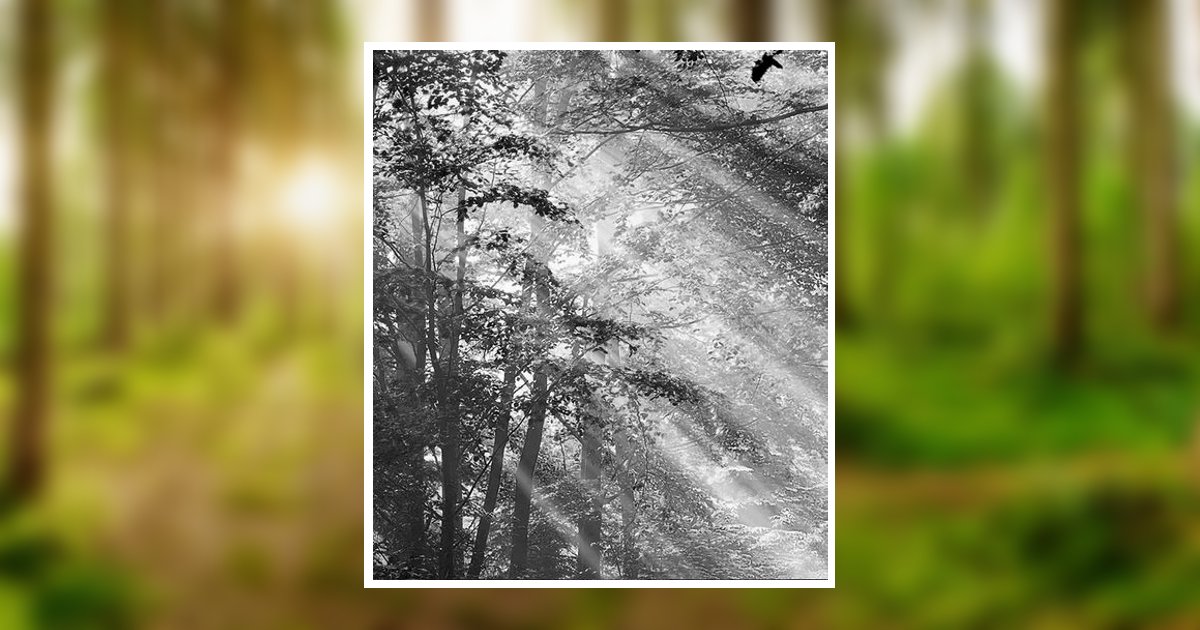 John William Simmons