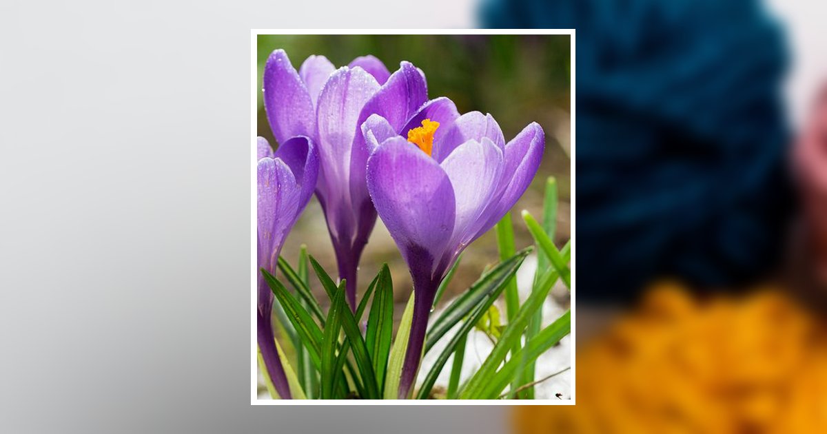 Maryann Quinn Obituary, Milford, NH