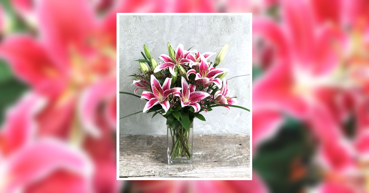 Sharon Kay Gandy Obituary, Morehead City, NC