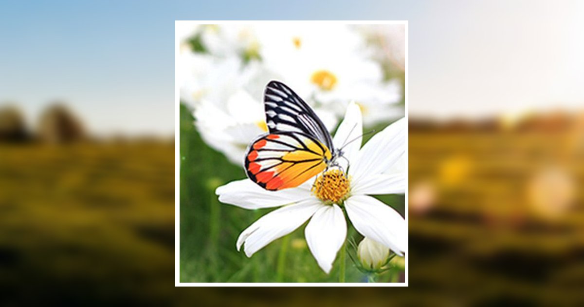 Alice Denny Obituary 2021 BrooksDurham