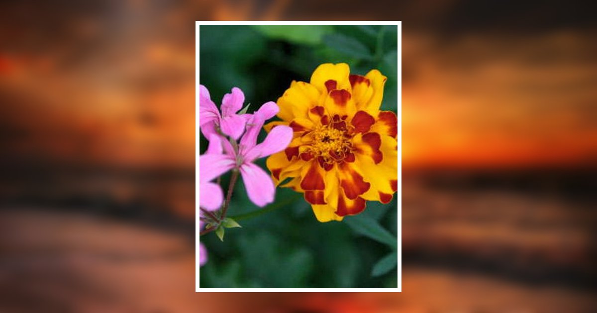 Elizabeth A Latincsics Obituary, Oakland, NJ