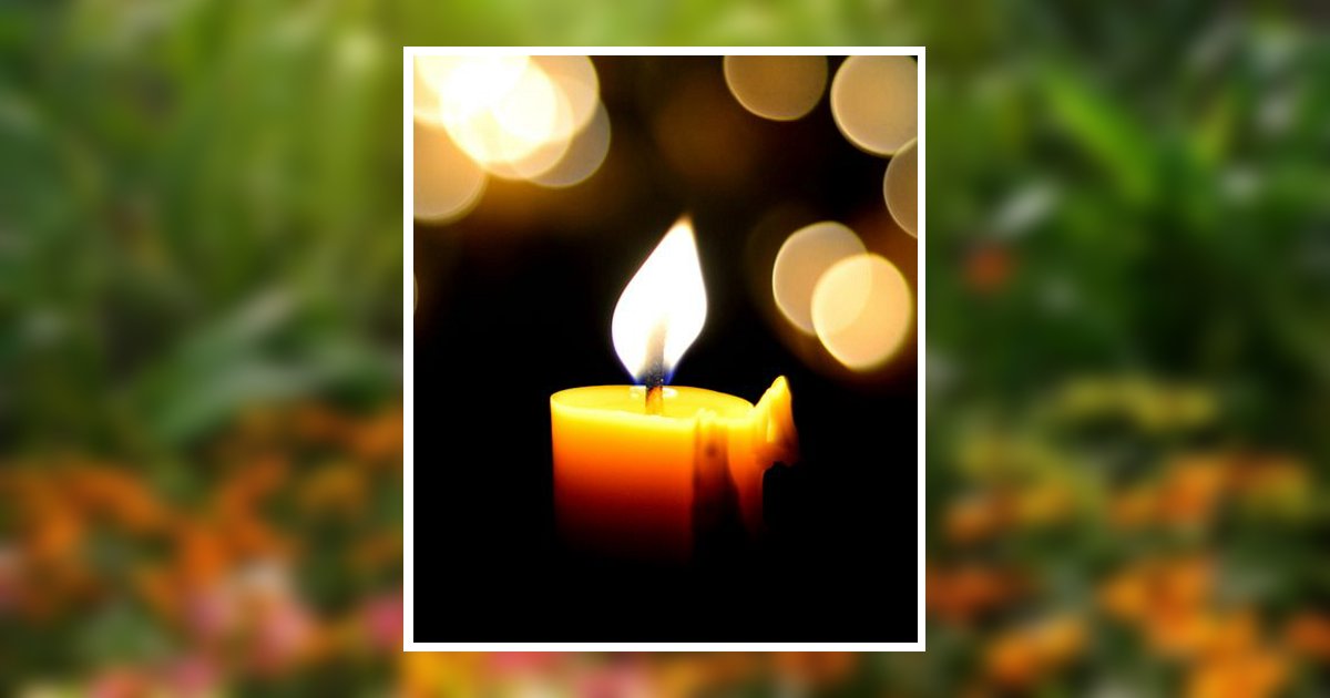 Melissa Suzonne Ellison Obituary, La Follette, TN