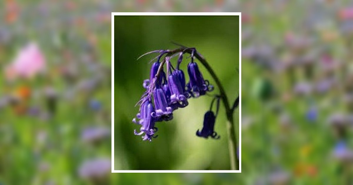 Linda "Ree" Marie Hunsucker Murphy