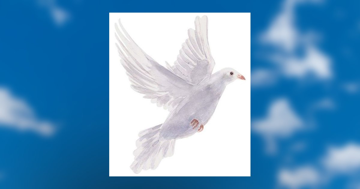 Jr. Connie Ervin Brown Obituary, Nashville, TN