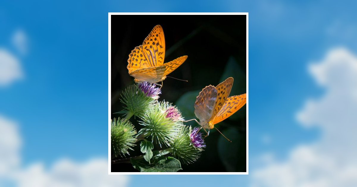 Portrait of Shirley Conrad