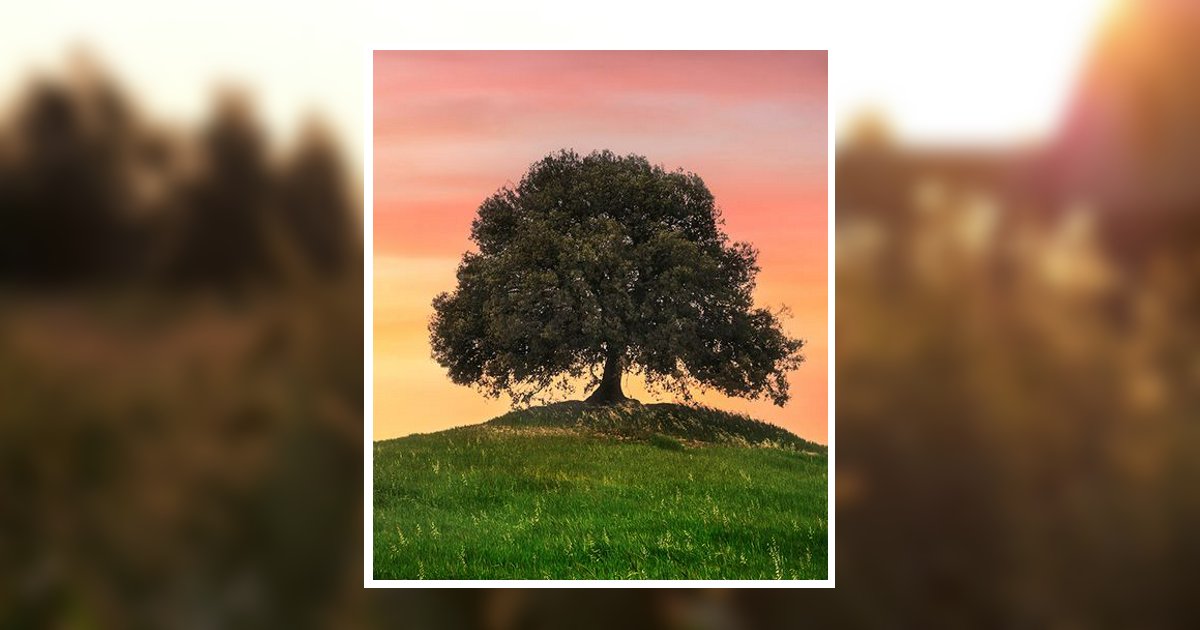 Sr. Larry Ballinger Emerson, NE Obituary