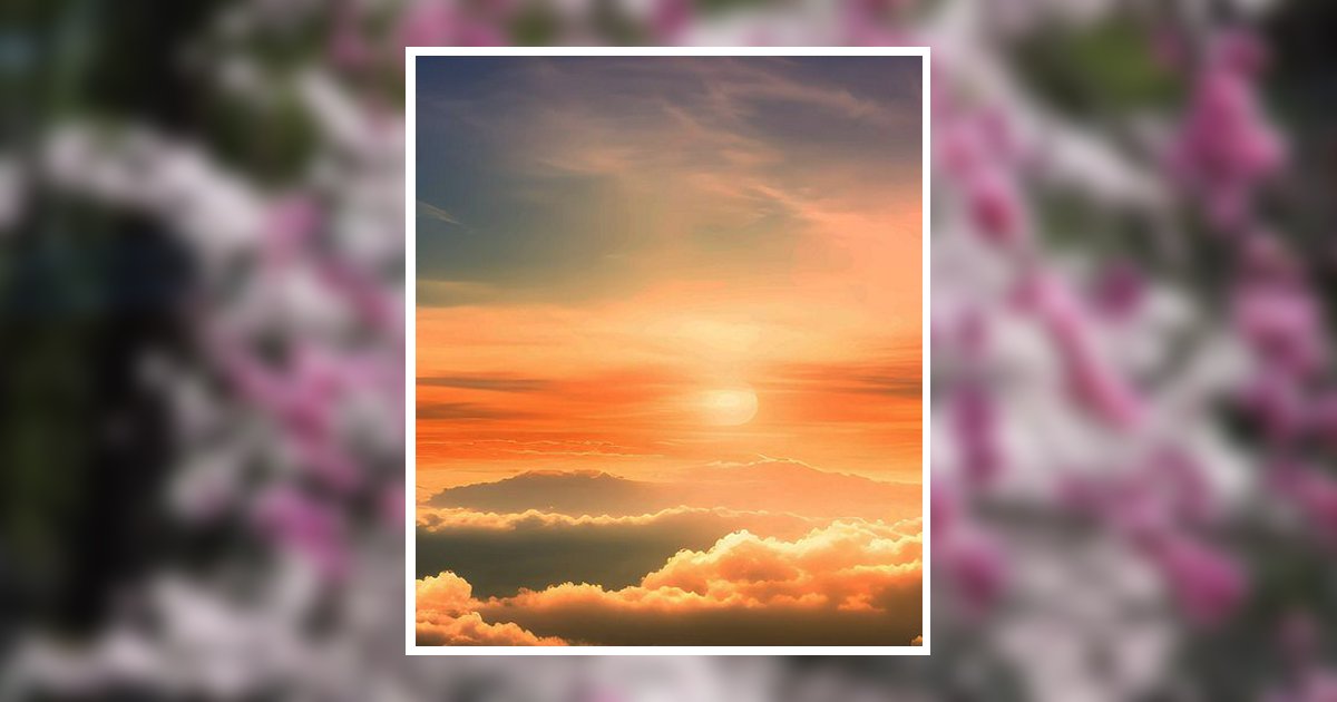 Judy A. Shaw Obituary February 23, 2026 - Strohmayer's Funeral Home