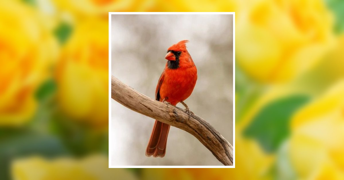 Picture Beverly Brooke England