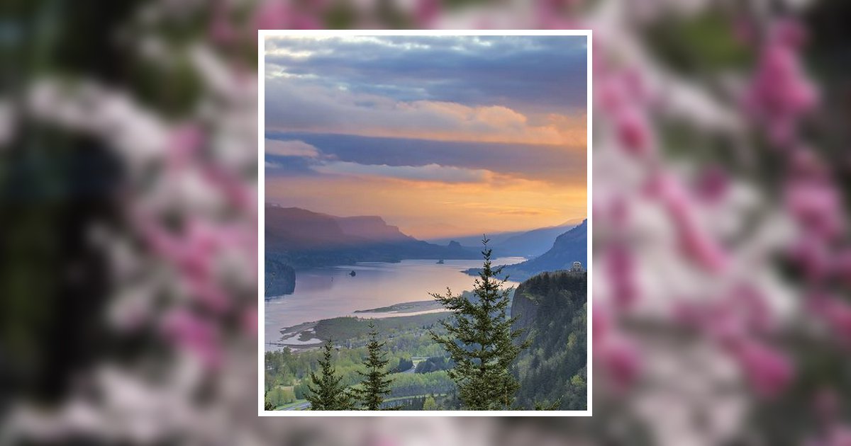 Sharon Marie Reed Sandpoint, ID Obituary