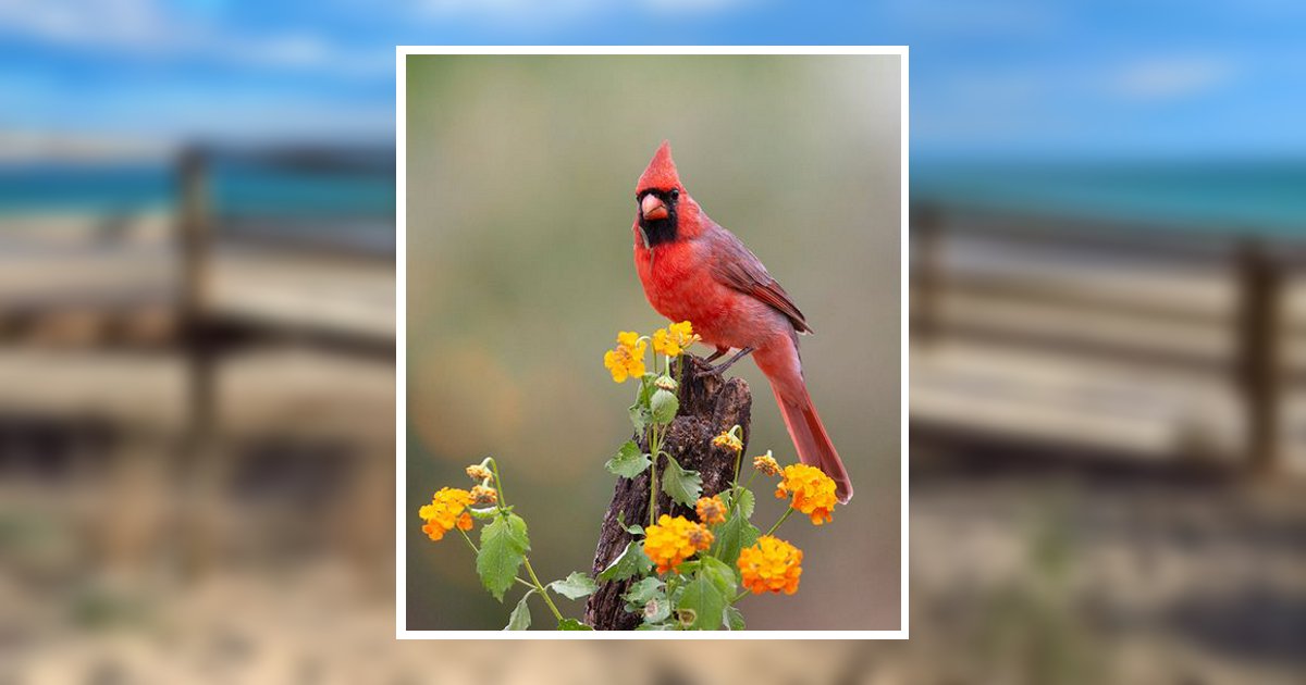 Portrait of Marianna Sblendorio