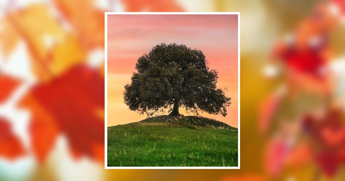 Martha Jane Sohlden Obituary, Houghton, MI