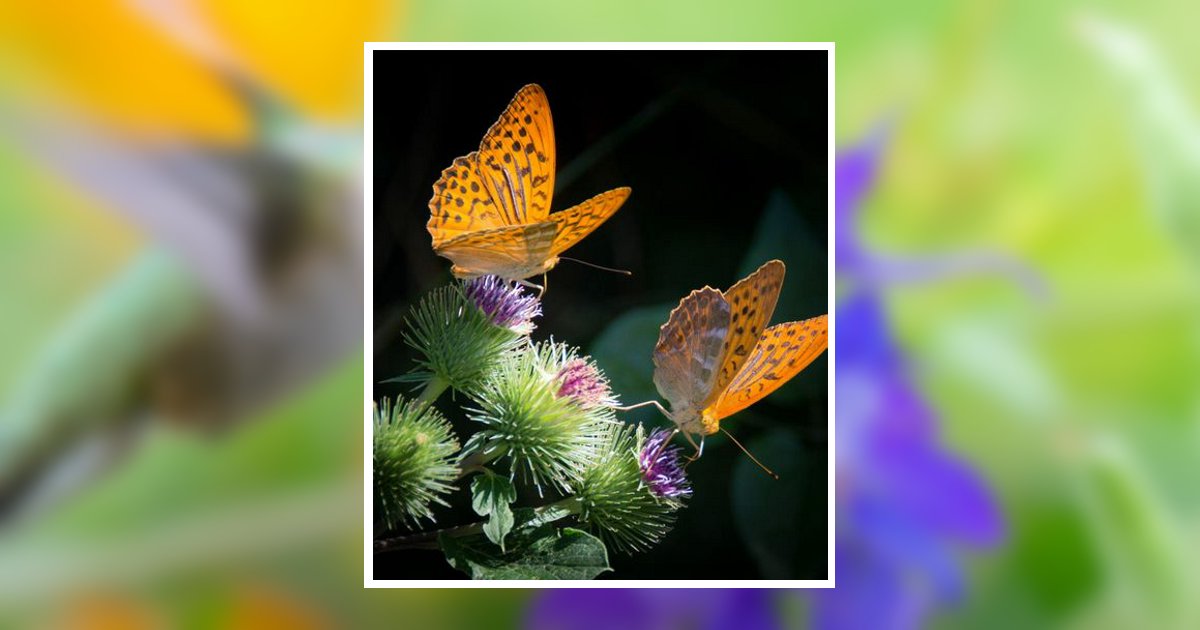 Yvonne Parks Obituary, Manchester, KY