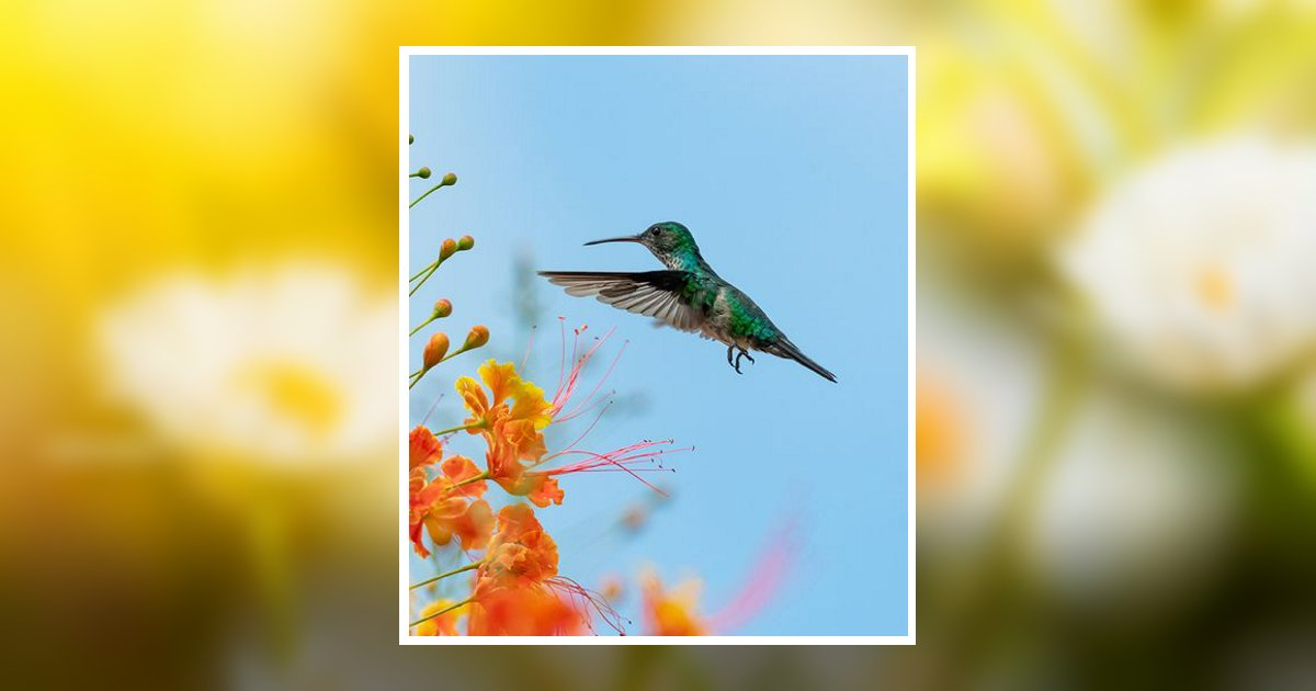 Dixie Lee Hartley Obituary, Enterprise, AL