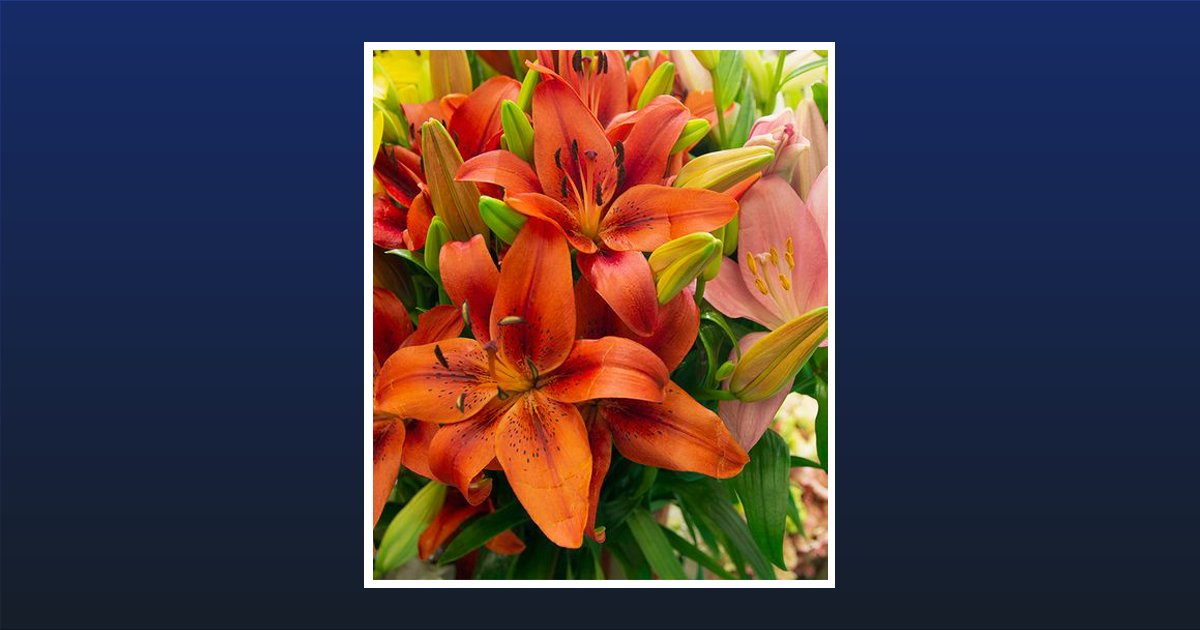Cynthia Galford Obituary, Raleigh, NC
