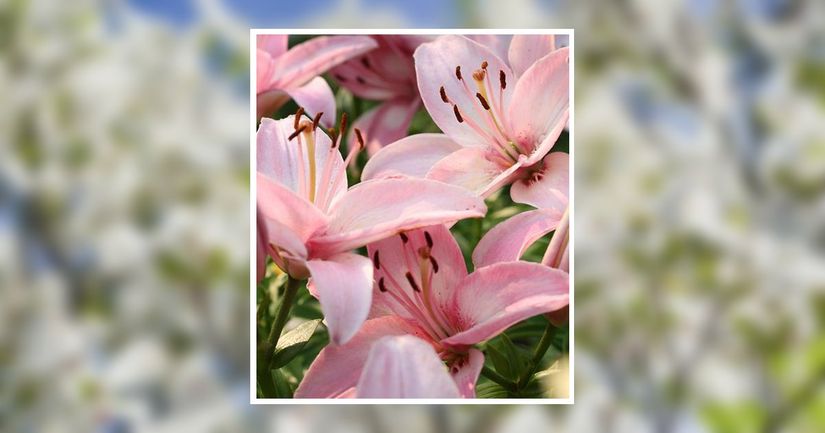 Ila Cowart Davis Obituary, Claxton, GA