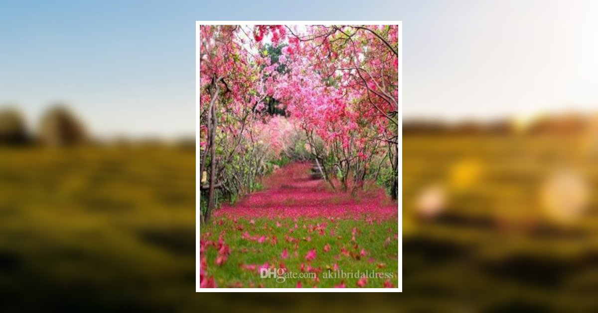 Carol Kitzmiller Obituary 2019 Buffalo Hill Funeral Home & Crematory