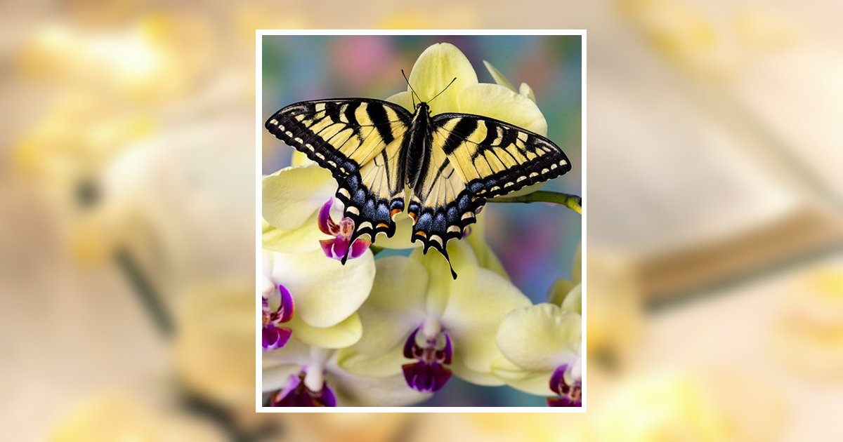 Alma Watson Obituary, Philadelphia, PA