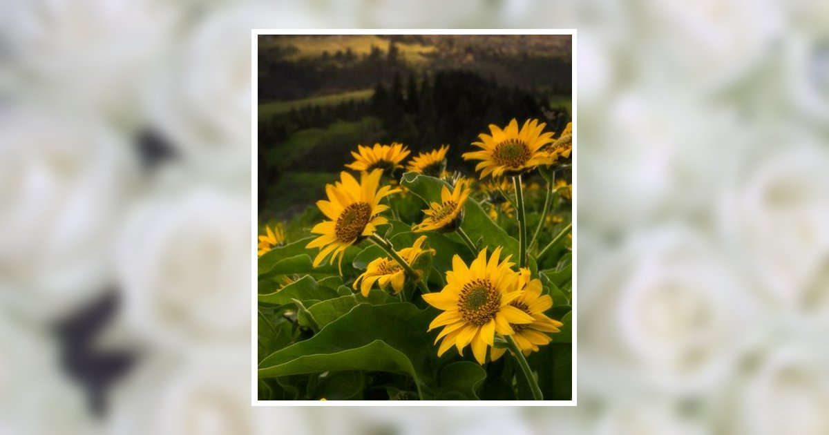 Picture Helen Hartfield