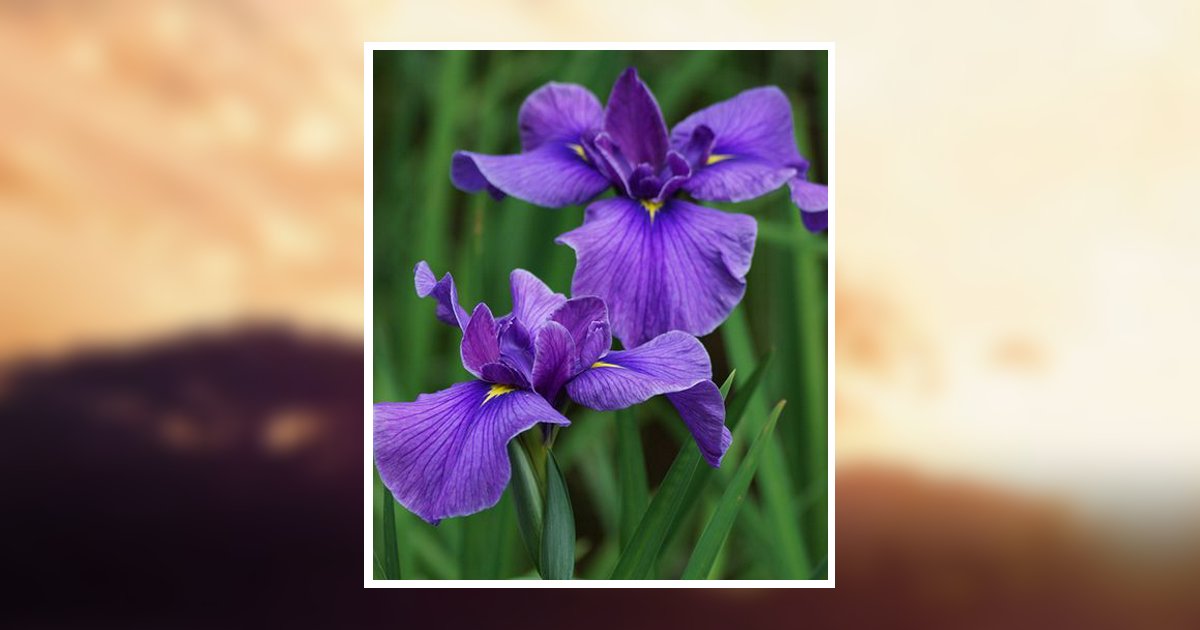 Dorothy Jenkins Barbee Obituary, Troy, NC