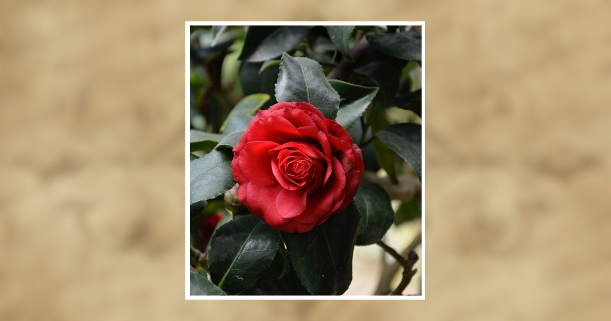 Jackie Faye Melder Sumrall Obituary, Shreveport, LA