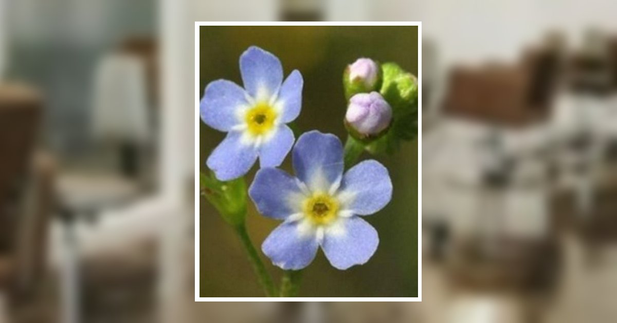 Charlotte Ann Peters