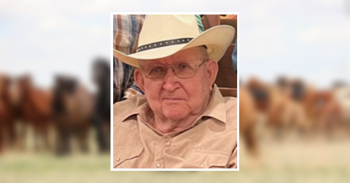 Glen Lawrence Gronau Obituary 2023 Yazel Megli Funeral Home and