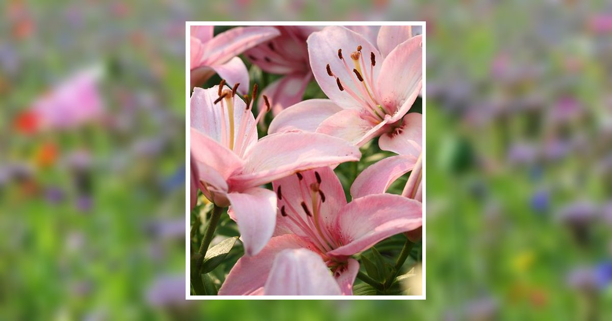 Maria Sowers Pennsburg, PA Obituary