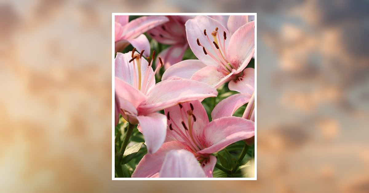 Penelope Ann Hommel Obituary, Ellsworth, MI