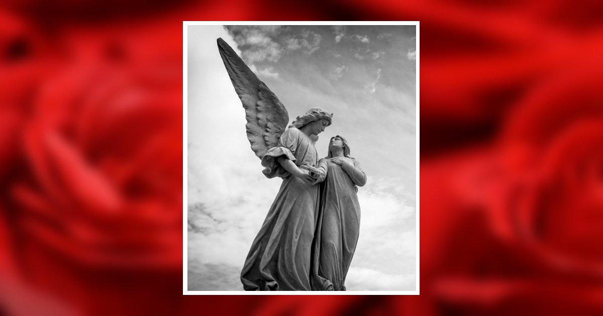 Denise L. Minnick Obituary, Ashton, IL