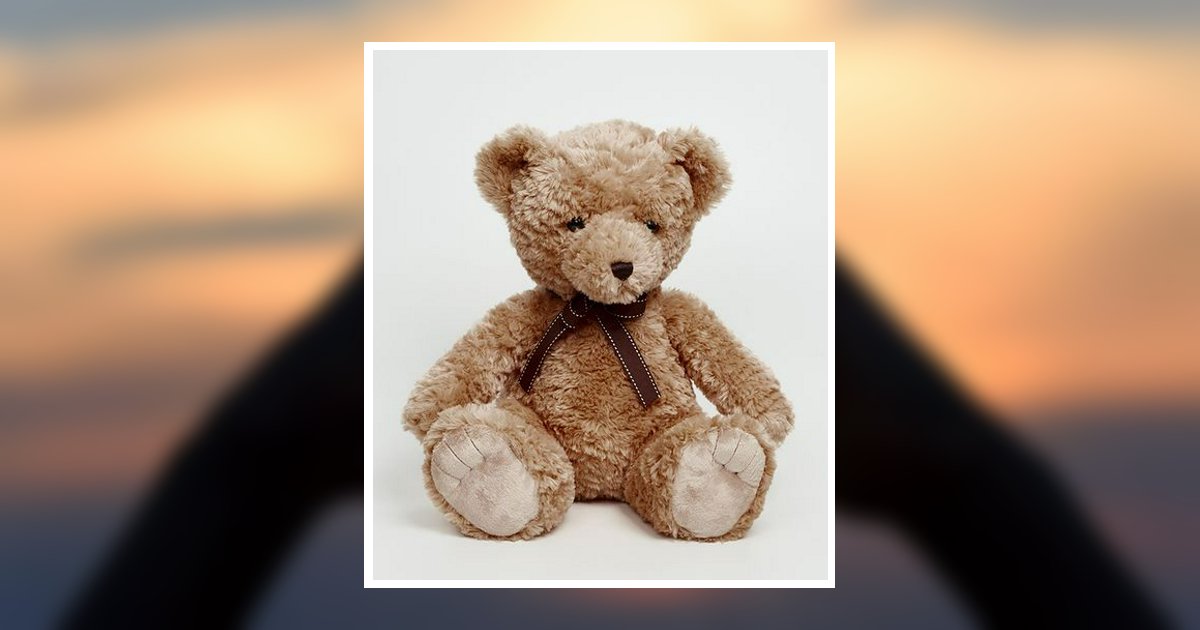 Logan Anthony Locascio Obituary, Port Jefferson Station, NY