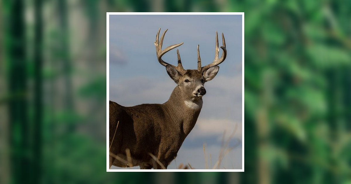 Jesse W. Small Obituary, Dry Run, PA