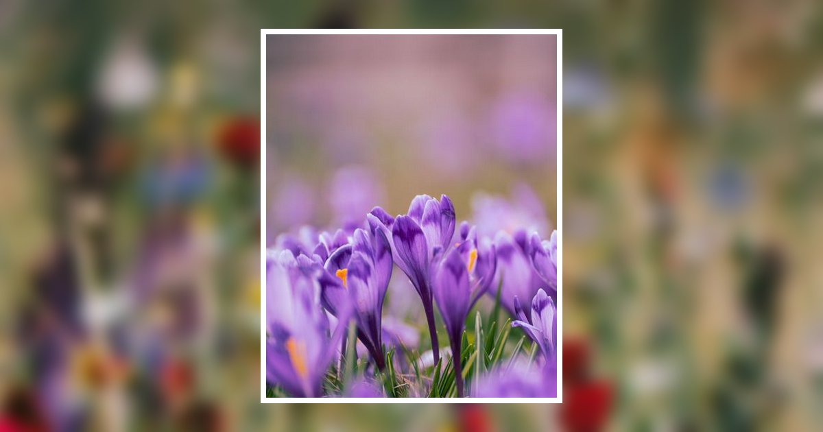 Annette Leah Otey Mcculloch Obituary, Casper, WY