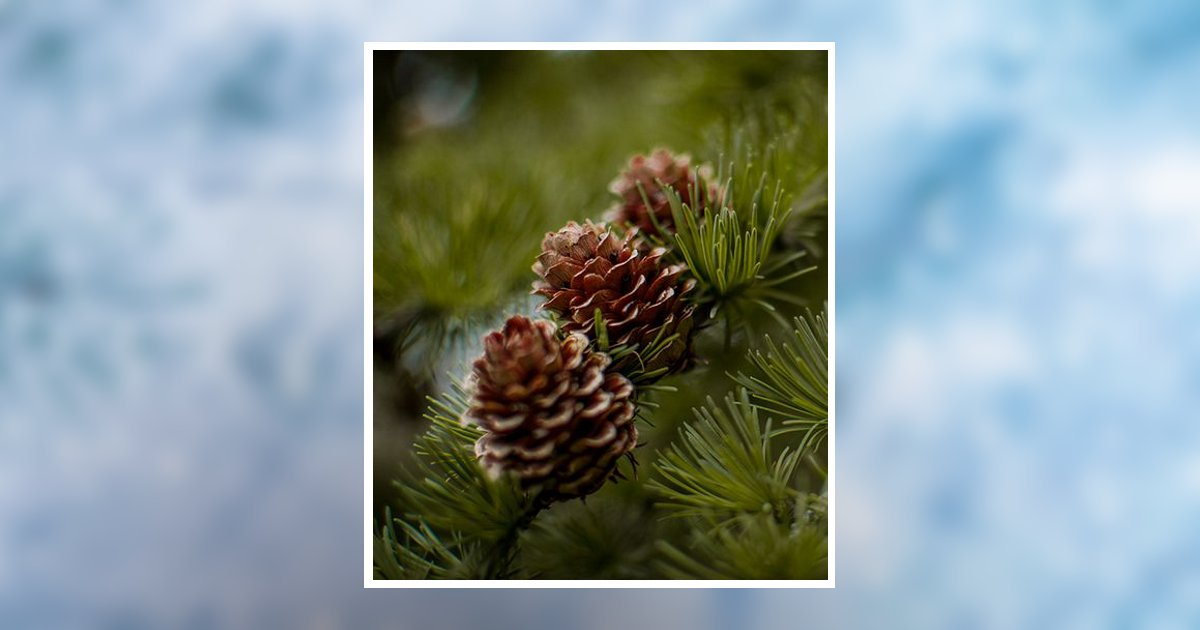 Peter J. Pecaitis Nanticoke, PA Obituary