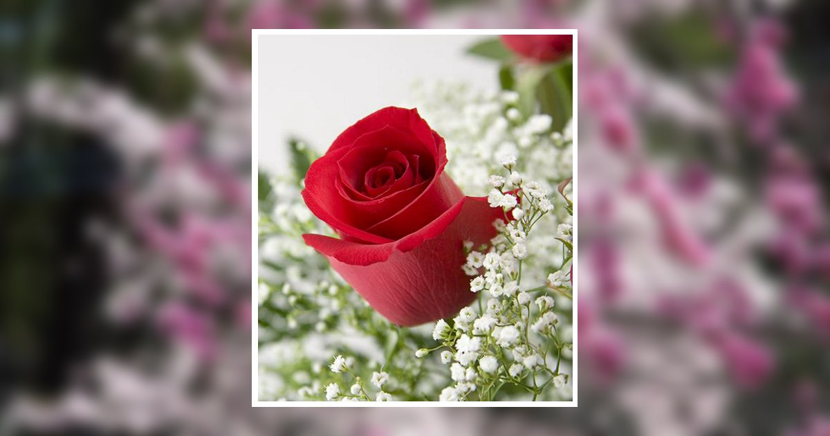 Brenda Lea Horton Beardstown, IL Obituary