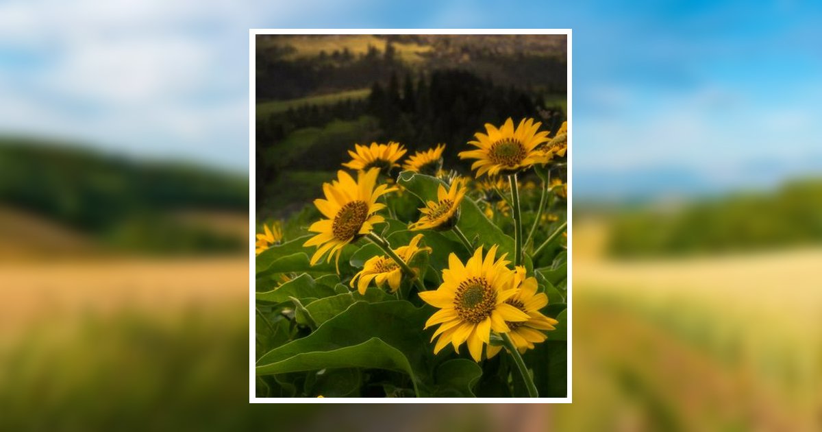 Wanda Melinda Wright Obituary, Mount Pleasant, TX