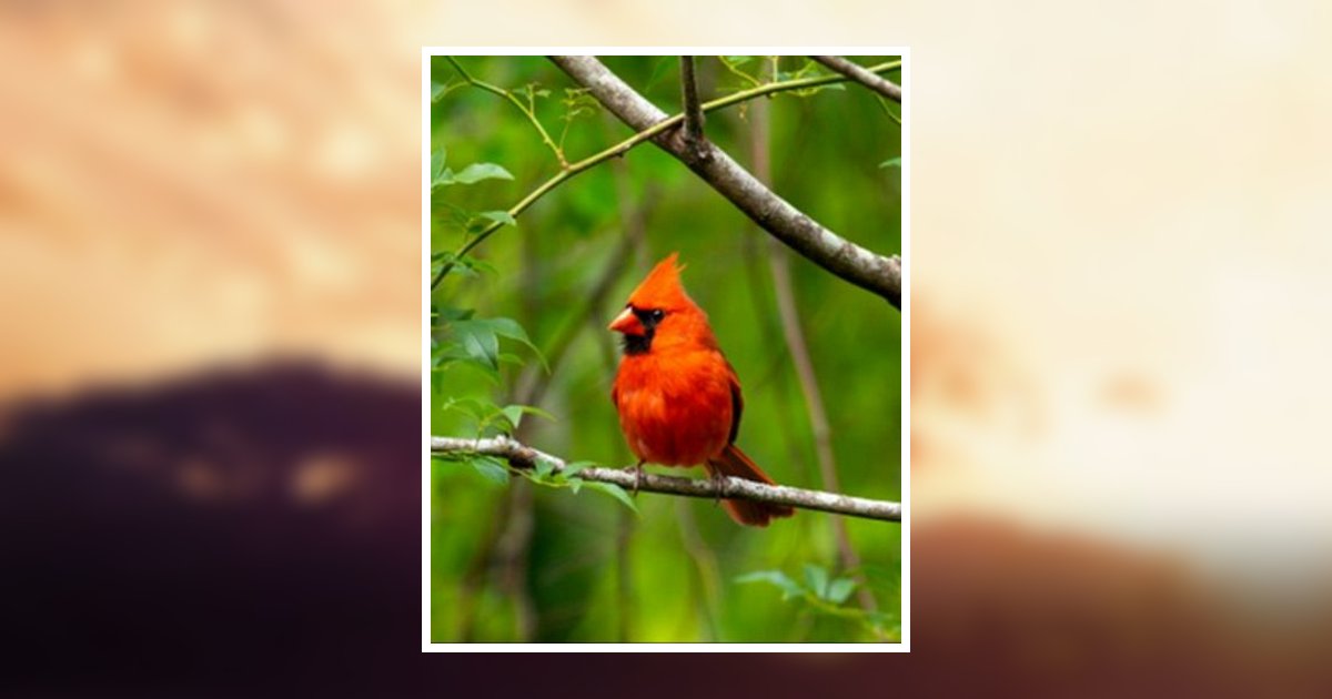 James Lee Chandler Obituary, Paducah, KY