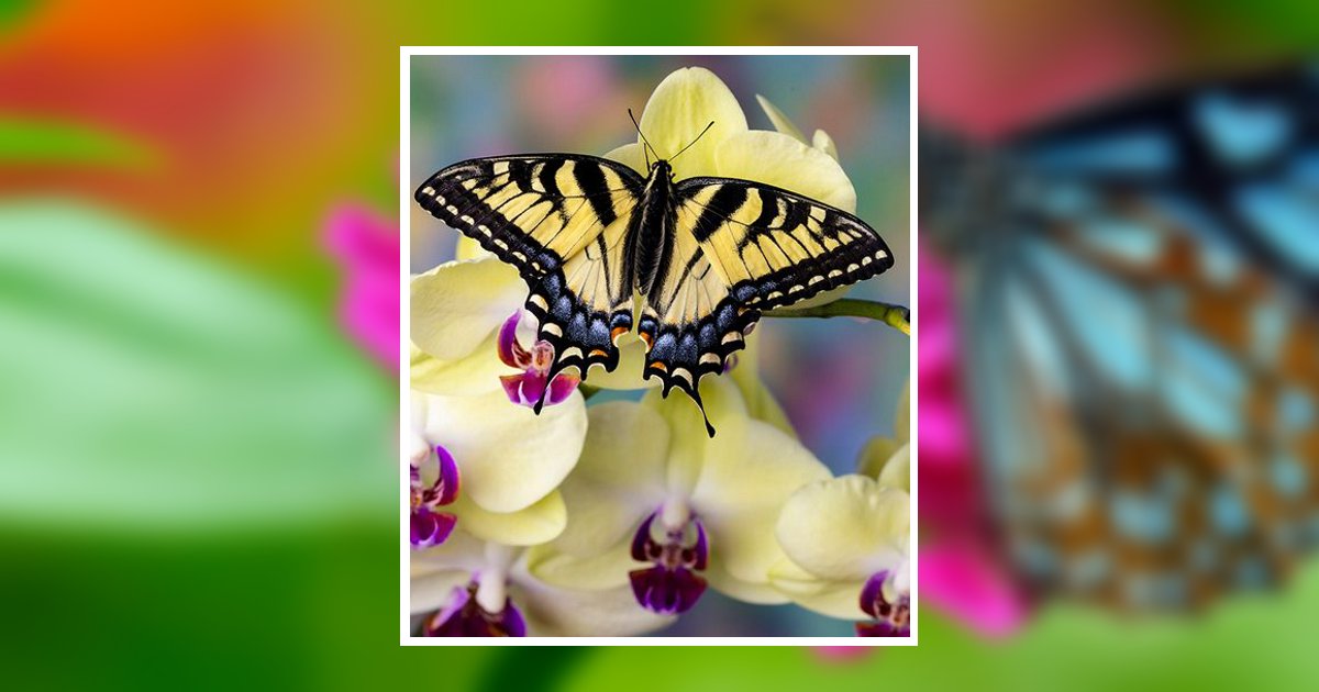 Laverne N. Schlieder Obituary, Sheboygan, WI