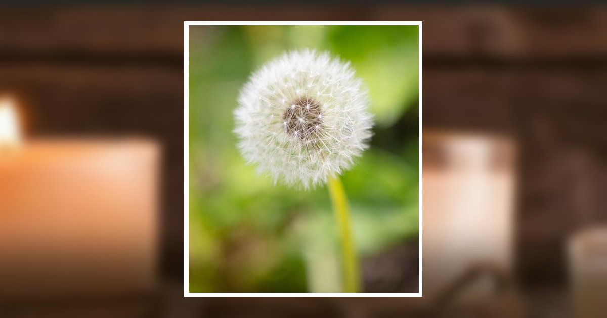 Jolene Ott Dale Quitman, TX Obituary