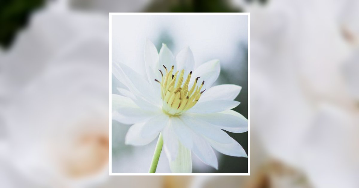 Darlene Borget Obituary, Orem, UT