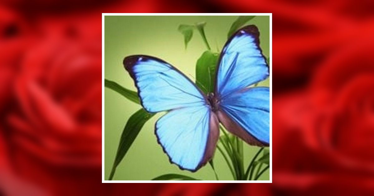 Avis Michelle LeeHampton Obituary, McKeesport, PA