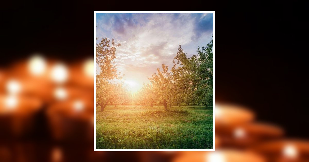 Dr. Donald Blair Geldart Obituary, Avon Park, FL