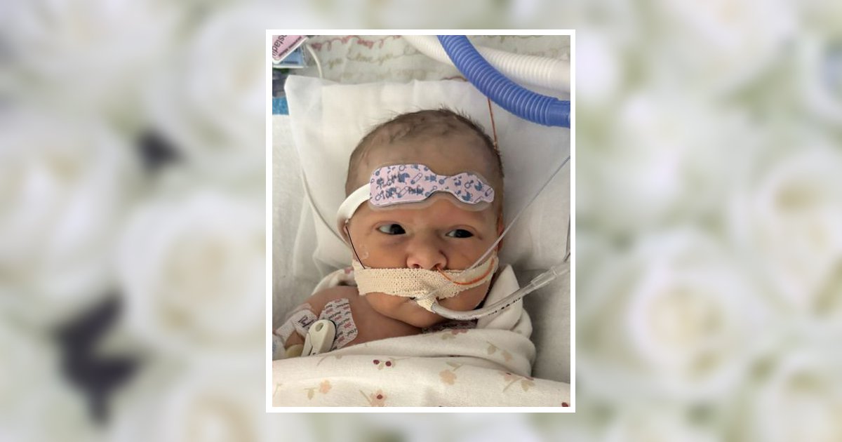 Olivia Grace Wischmeyer Obituary, Ottawa, OH